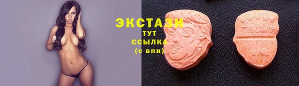 мдпв Каменка
