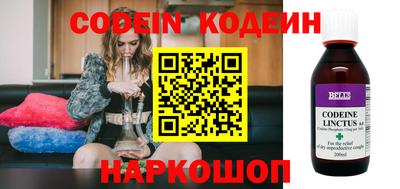 индика Можайск