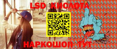 гидра Моздок