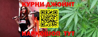 гидра Моздок