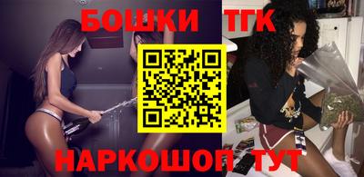 индика Можайск