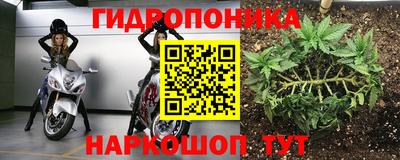 гидра Моздок