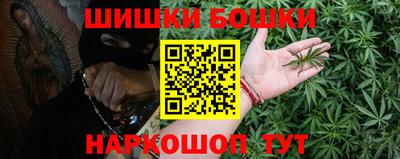 индика Можайск