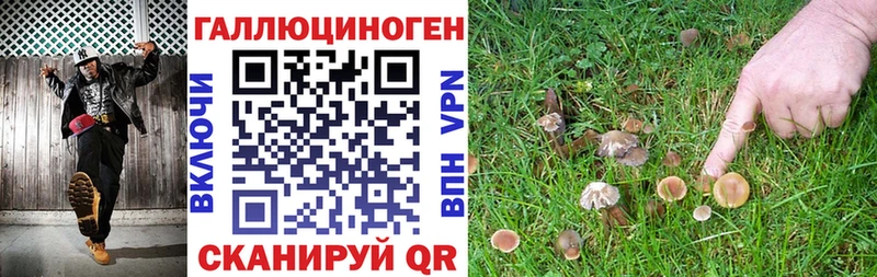 blacksprut как зайти  мориарти Telegram  Галлюциногенные грибы Cubensis  Малгобек 