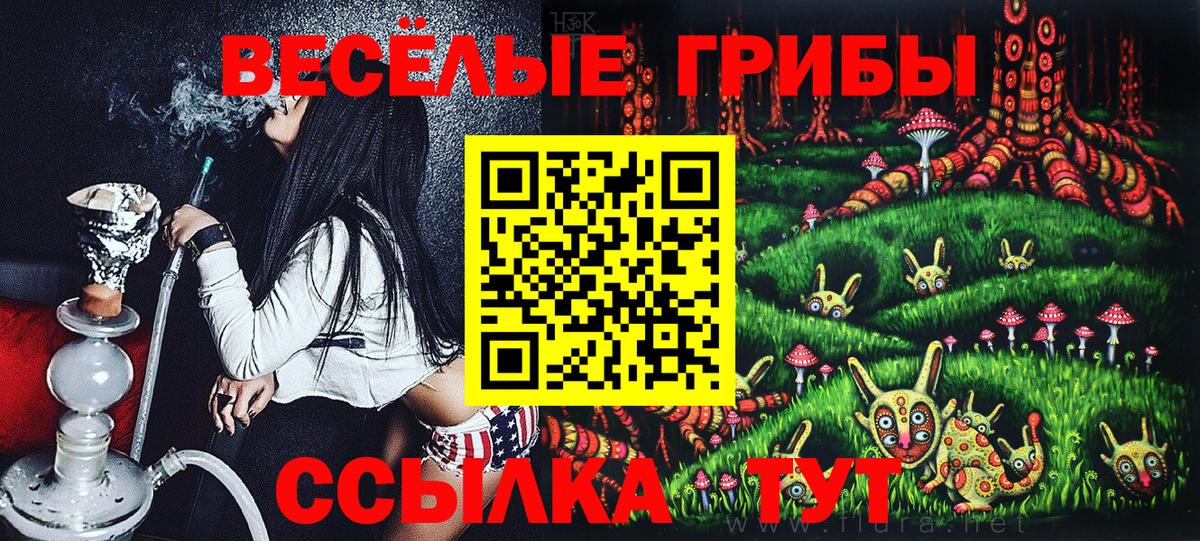 дарнет шоп  Галлюциногенные грибы Cubensis  Вход с VPN  Малгобек  Псилоцибиновые грибы Psilocybe 