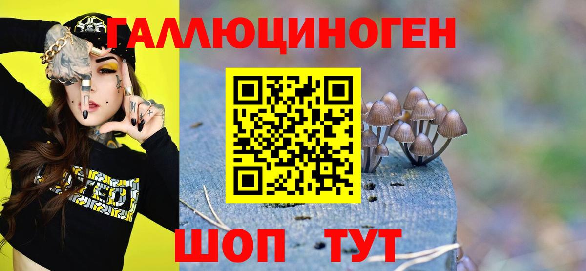 Псилоцибиновые грибы прущие грибы Малгобек